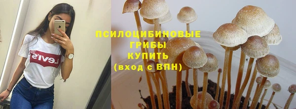 гашиш Абаза