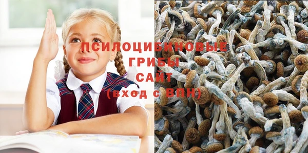 гашиш Абаза