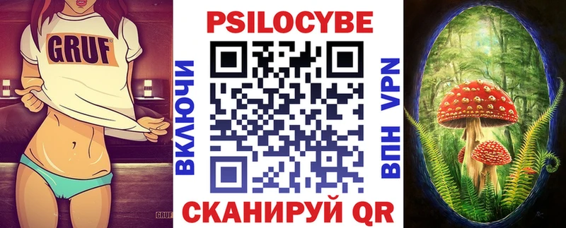 kraken маркетплейс сколько стоит Красавино Псилоцибиновые грибы Psilocybine cubensis