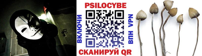 Псилоцибиновые грибы Magic Shrooms Красавино