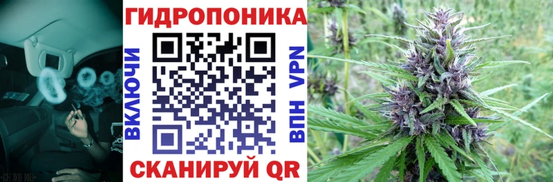 Бошки Шишки THC 21%  Красавино 
